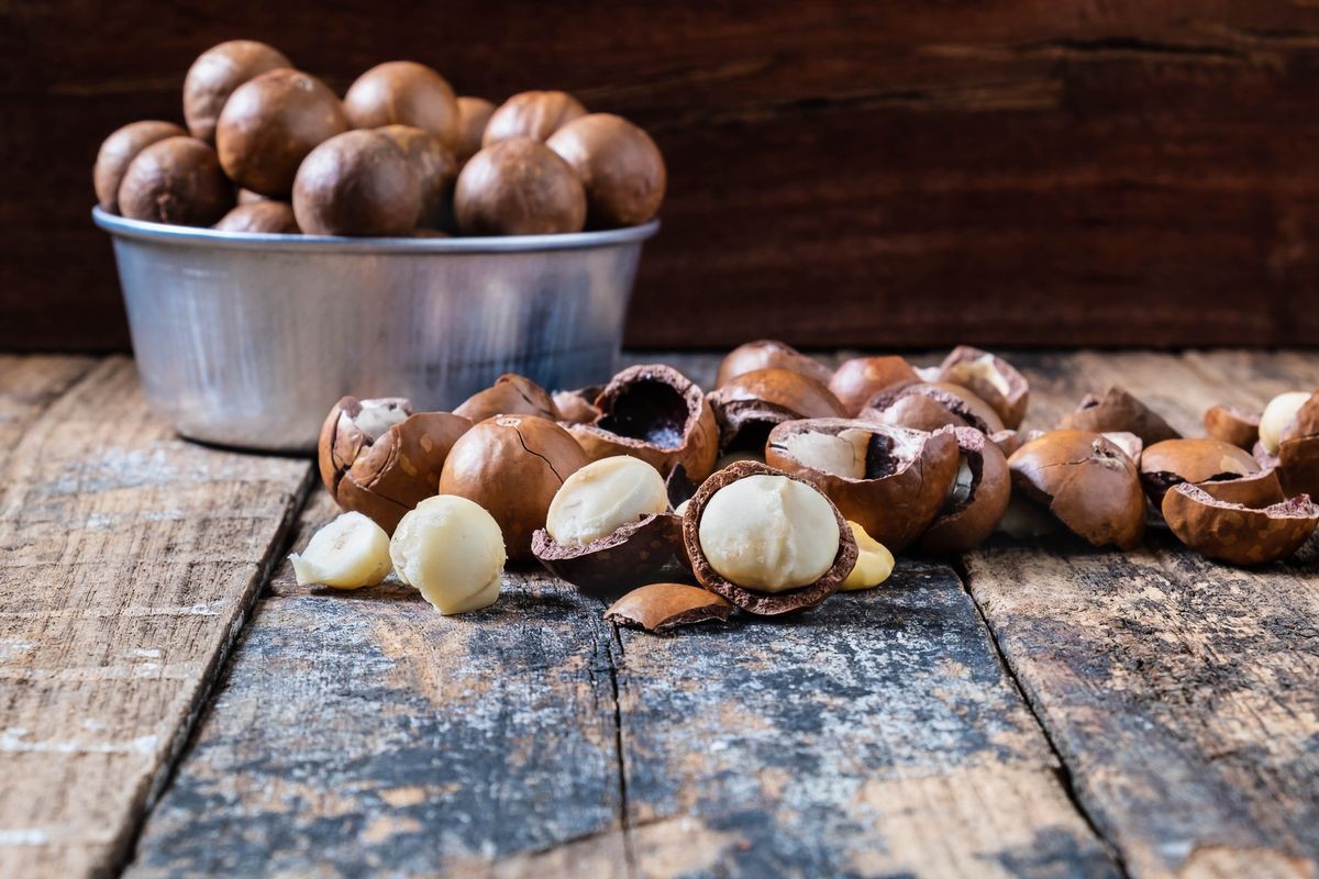 Macadamia nuts with shells in a bowl.